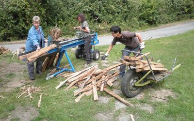 Préparation d’une cuisson au bois